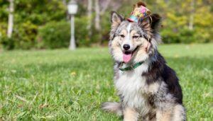 explorez la définition du fond en euros dans l'assurance vie et comprenez son rôle essentiel pour sécuriser votre épargne.