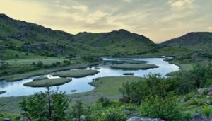 découvrez les pièges courants à éviter lors du choix d'un logiciel de facturation en ligne gratuit pour gérer efficacement votre comptabilité sans surprises.